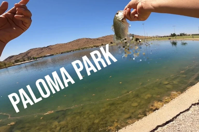 Paloma park fishing lake tips guide report fi