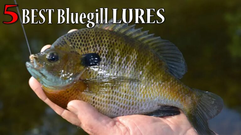 Bluegill Fishing Guide