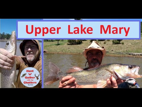 Upper Lake Mary Fishing Guide 🎣 🐟