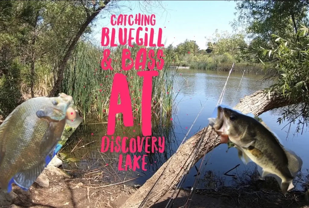 Discovery lake fishing guide tips in San Marcos California