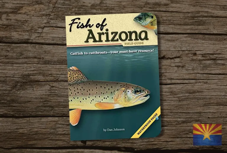 Fish Of Arizona Field Guide Fish Identification Guides Best Arizona Fishing Books Guides