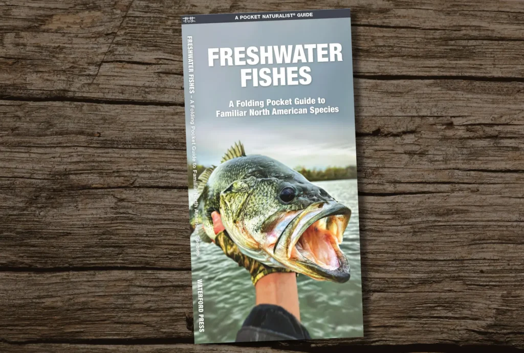 Freshwater Fishes A Folding Pocket Guide To Familiar North American Species Wildlife Nature Identification Best Fishing Book S