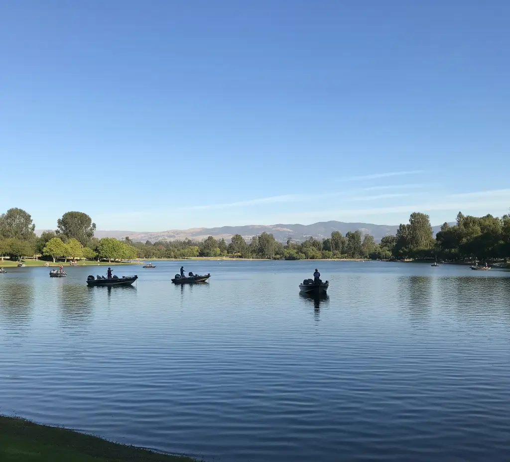 Irvine regional park lake fishing tips report guide california 01