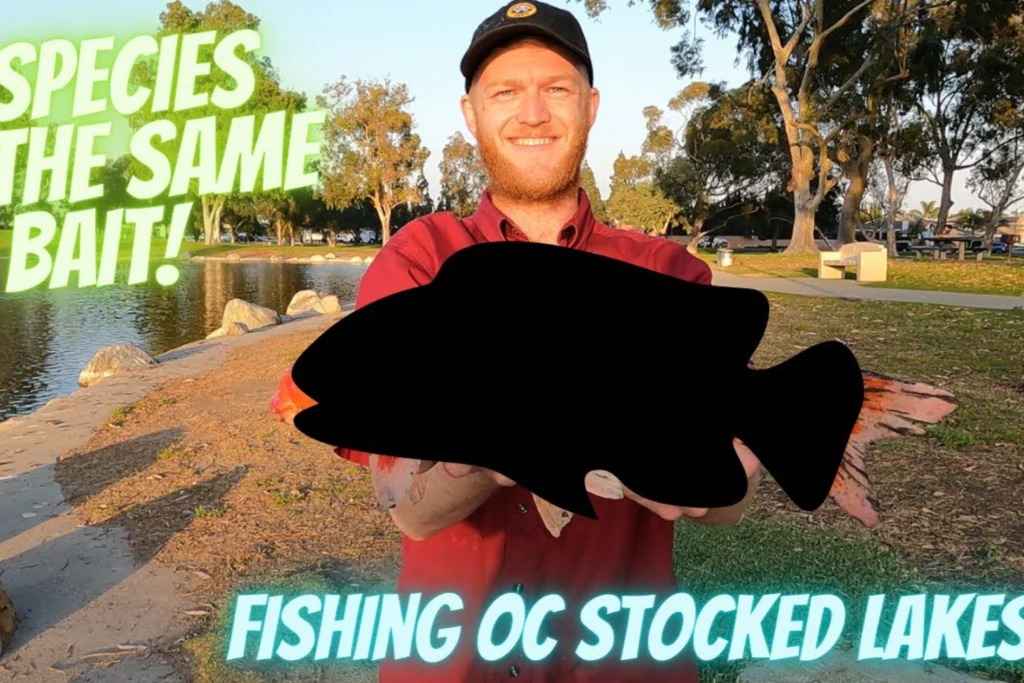Mile square park lake fishing tips report guide california 01