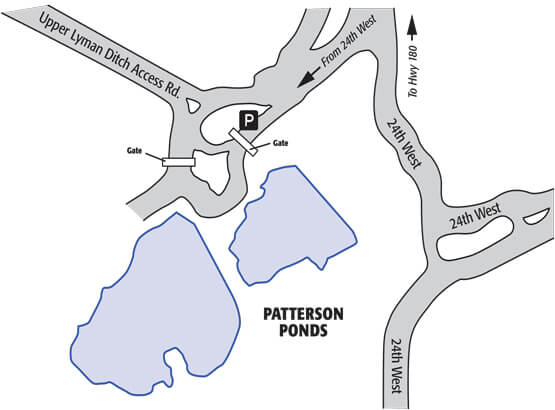 Patterson Ponds Fishing Guide Report Map