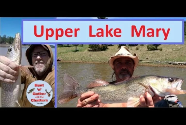 Upper lake mary fishing guide tips bait lures