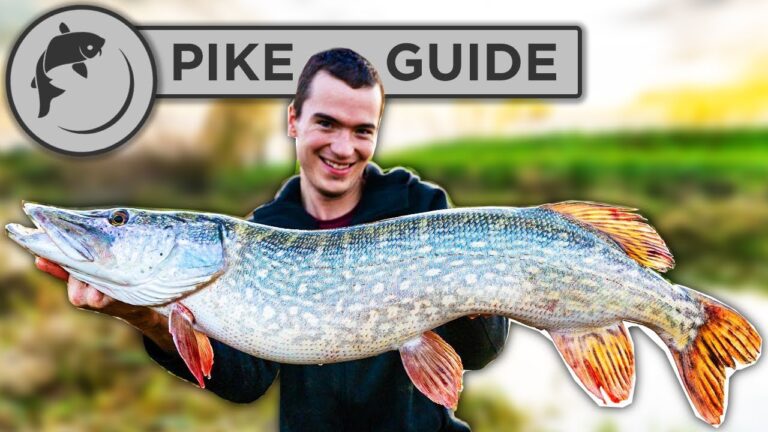 Northern Pike Fishing Guide