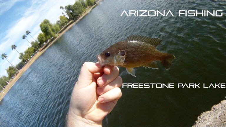 Freestone Pond Fishing Guide