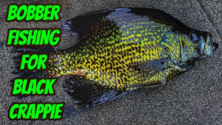 Black Crappie Fishing Guide