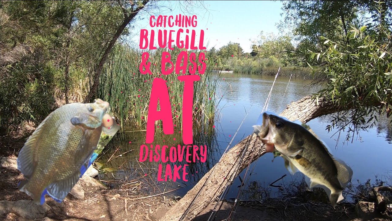 Discovery Lake Fishing Guide