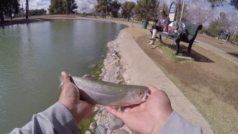 Friendship Pond Fishing Guide