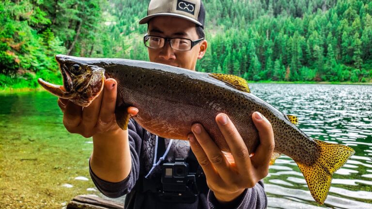 Cutthroat Trout Fishing Guide