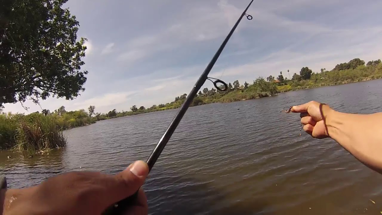 Guajome Regional Park Lake Fishing Guide