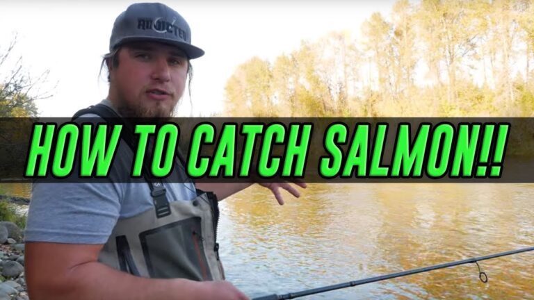 Chinook Salmon Fishing Guide