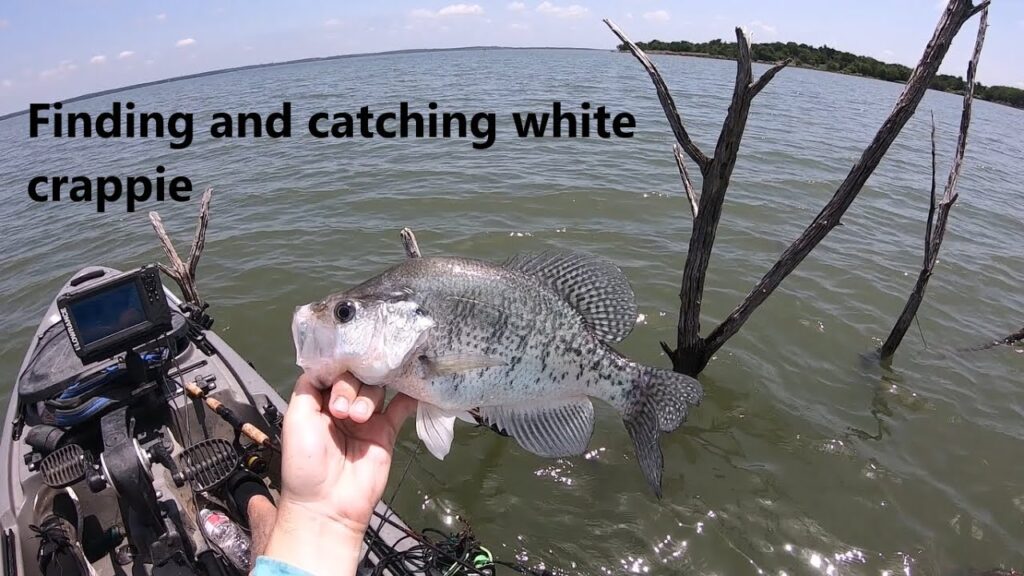 White Crappie Fishing Guide