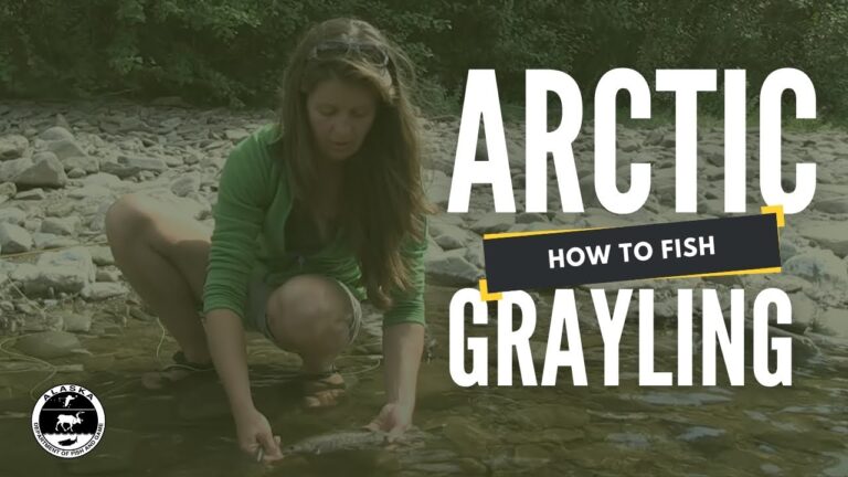 Arctic Grayling Fishing Guide