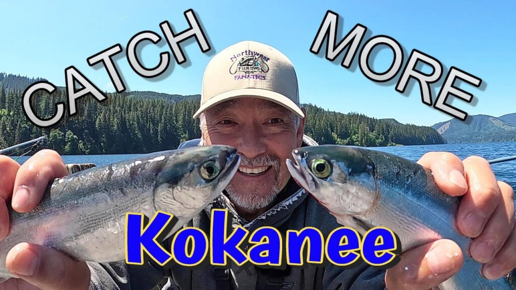 Kokanee Salmon Fishing Guide