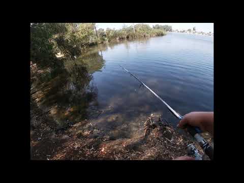 Huntington Lake Fishing Guide