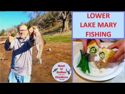 Lower Lake Mary Fishing Guide 🎣 🐟