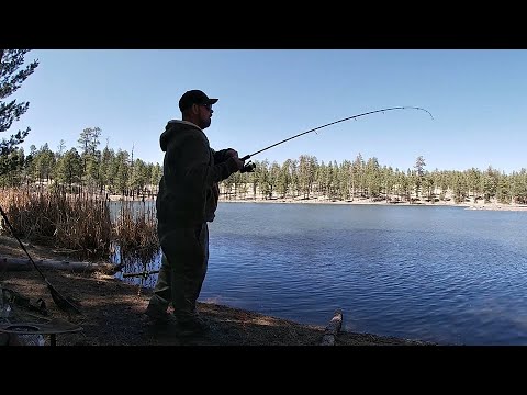 Luna Lake Fishing Guide 🎣 🐟