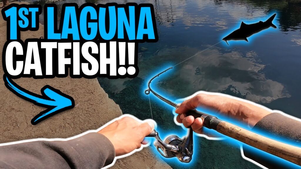 Laguna Lake Fishing Guide