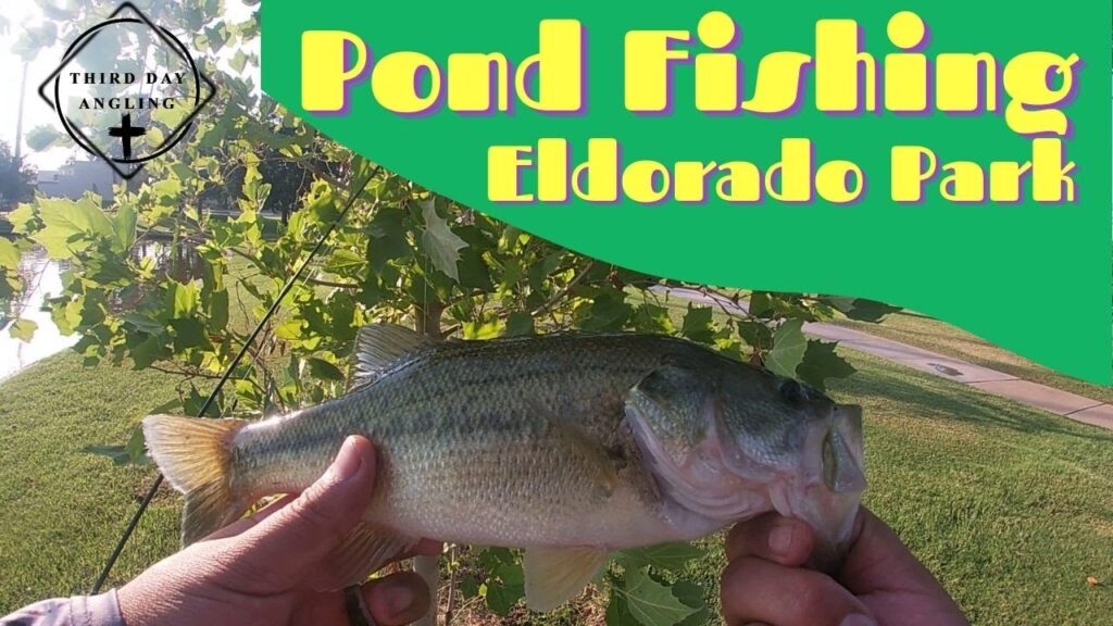 Eldorado Pond Fishing Guide