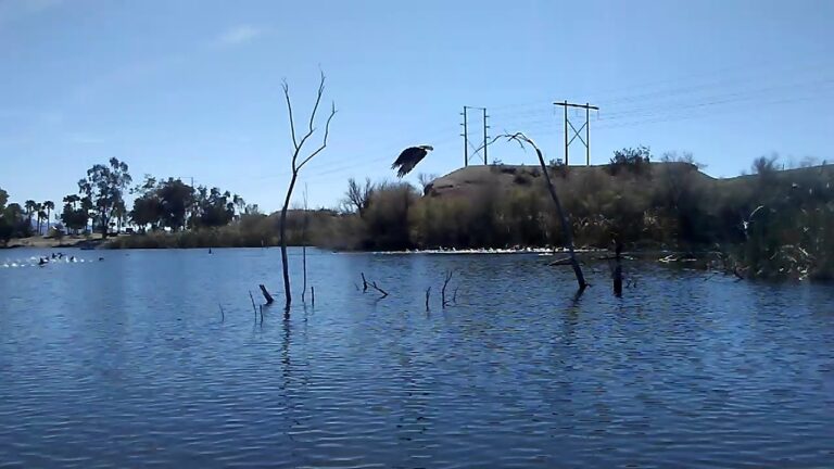 Redondo Lake Fishing Guide