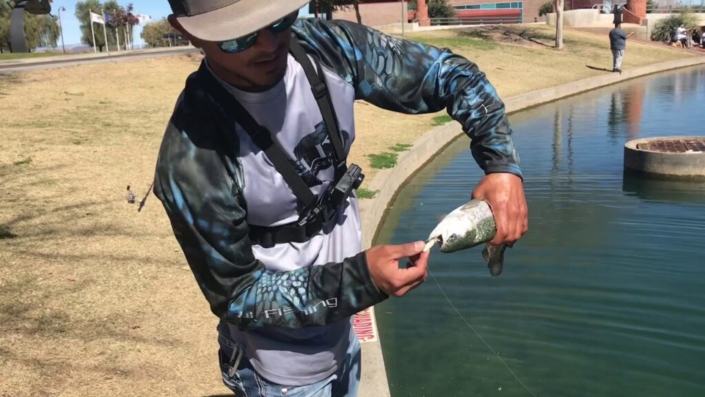 Rio Vista Park Fishing Lake