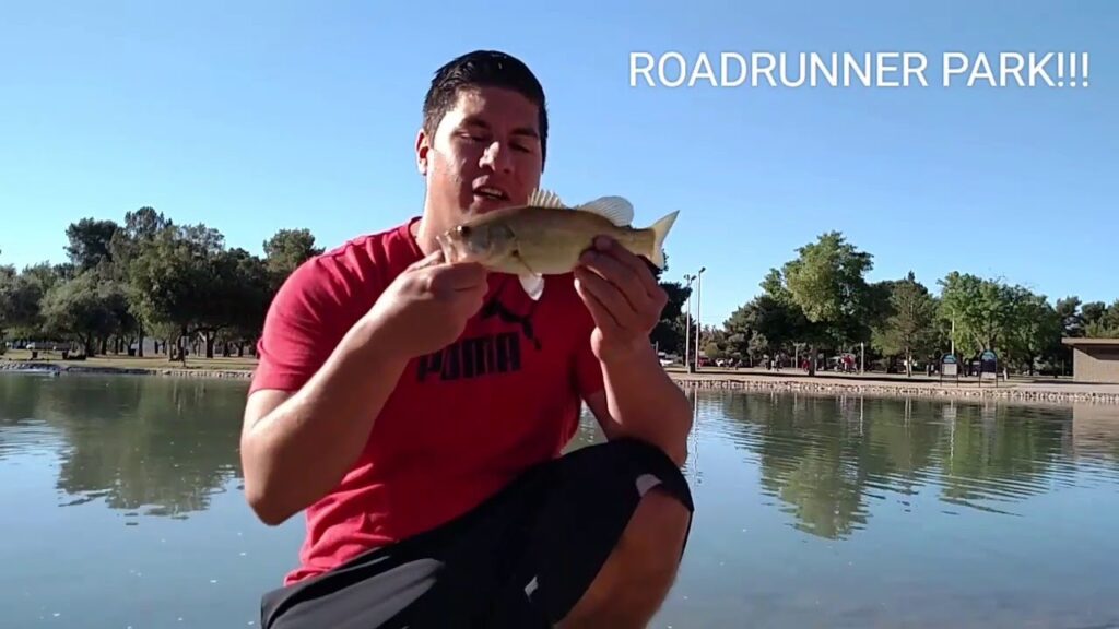 Roadrunner Pond Fishing Guide