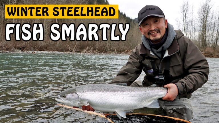 Steelhead Fishing Guide