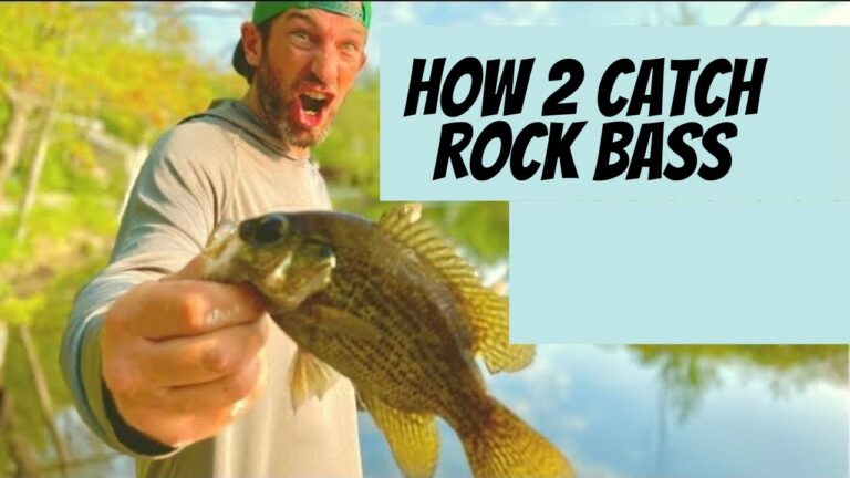 Rock Bass Fishing Guide