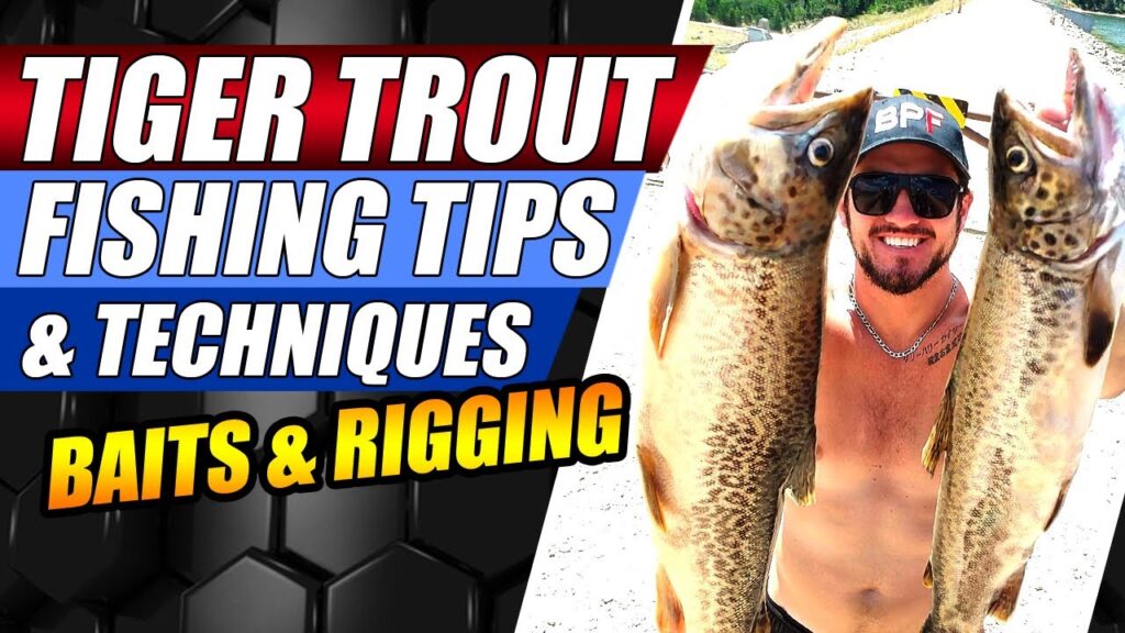 Tiger Trout Fishing Guide