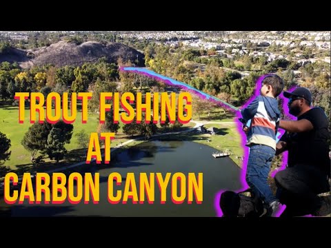 Carbon Canyon Park Lake Fishing Guide