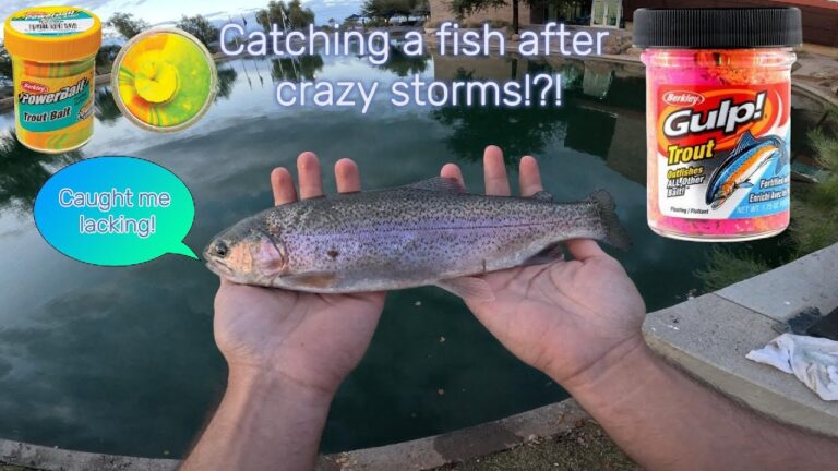 Rio vista pond fishing tips: best bait & tackle guide 🎣