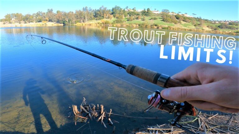 Laguna Niguel Lake Fishing Guide