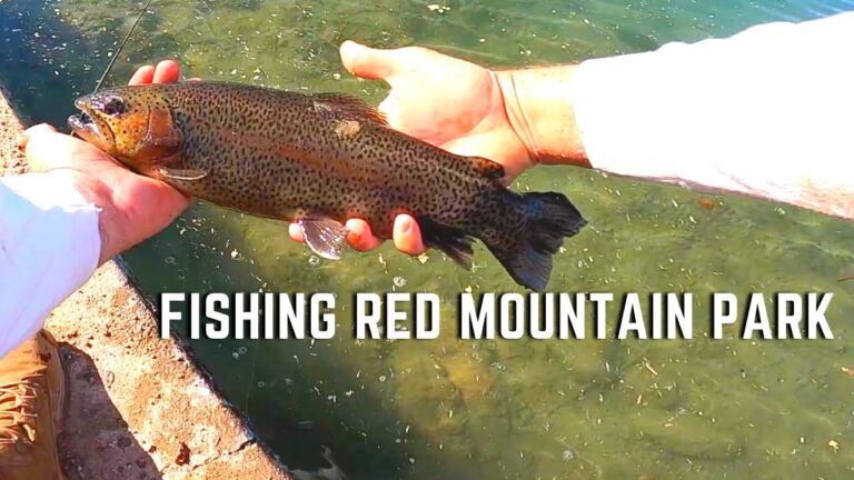 Red Mountain Lake Fishing Guide