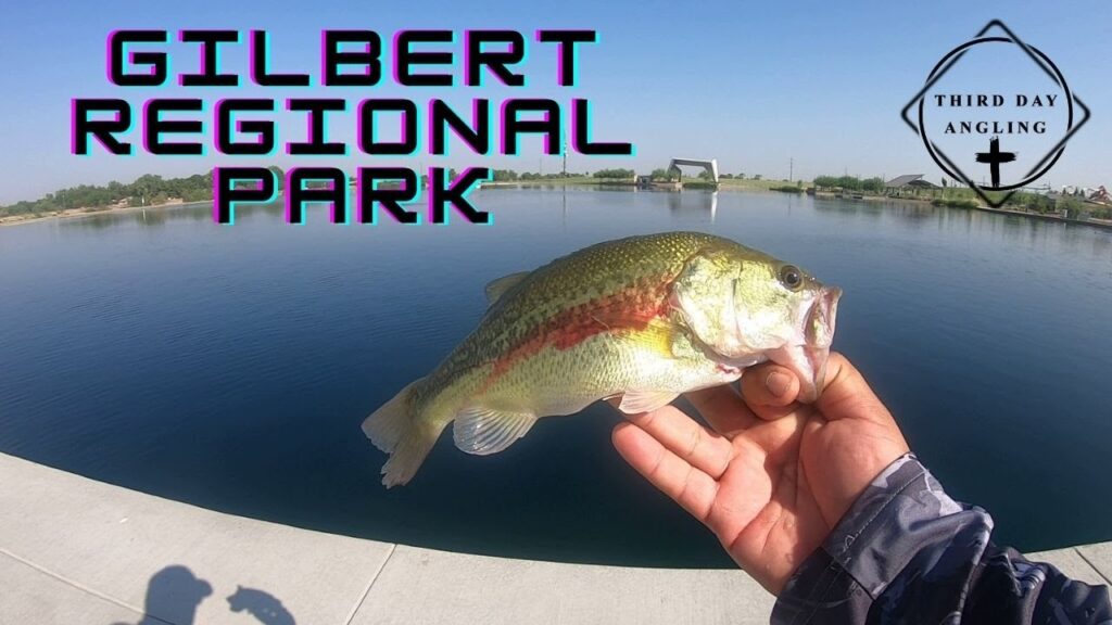 Gilbert Regional Park Pond Fishing Guide