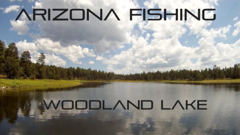 Woodland Fishing Guide 🎣 🐟