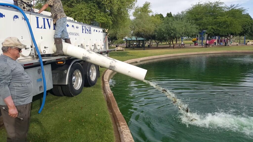 Council Avenue Pond Fishing Guide