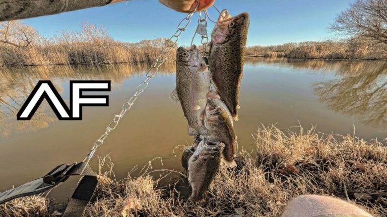 Dead Horse Ranch Lake Fishing Guide 🎣