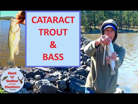 Cataract Lake Fishing Guide 🎣