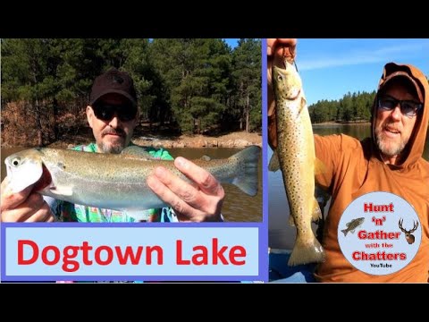 Dogtown Lake Fishing Guide 🎣