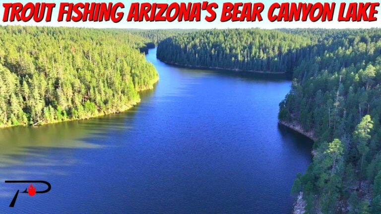 Bear Canyon Lake Fishing Guide 🎣