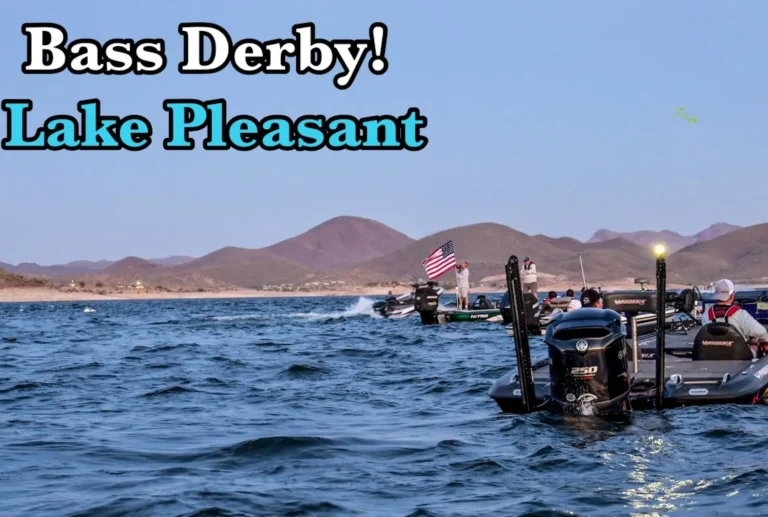 Pleasant lake fishing report guide tackle lures bait arizona