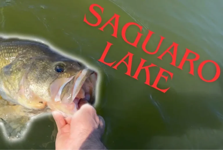 Saguaro lake fishing report guide Arizona