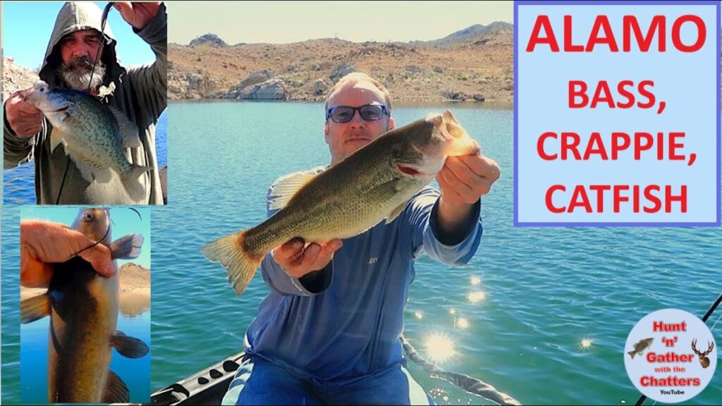 Alamo lake fishing guide 🎣