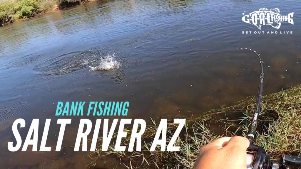 Lower salt river fishing guide 🎣