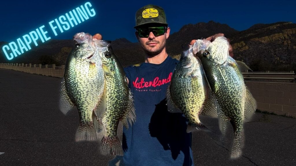 Bartlett lake fishing guide 🎣