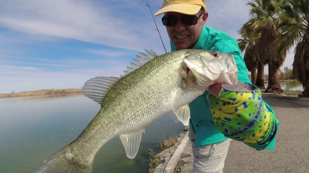 Lake mittry fishing guide 🎣