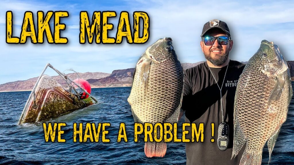 Mead lake fishing guide 🎣